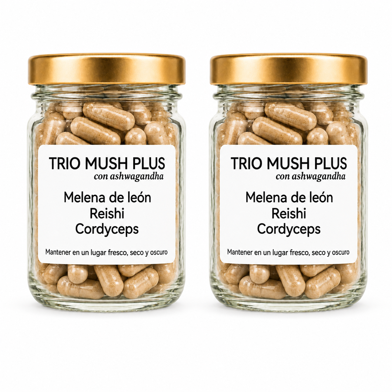 Trío Mush Plus - Melena de león, reishi, cordyceps y ashwagandha TODO EN 1