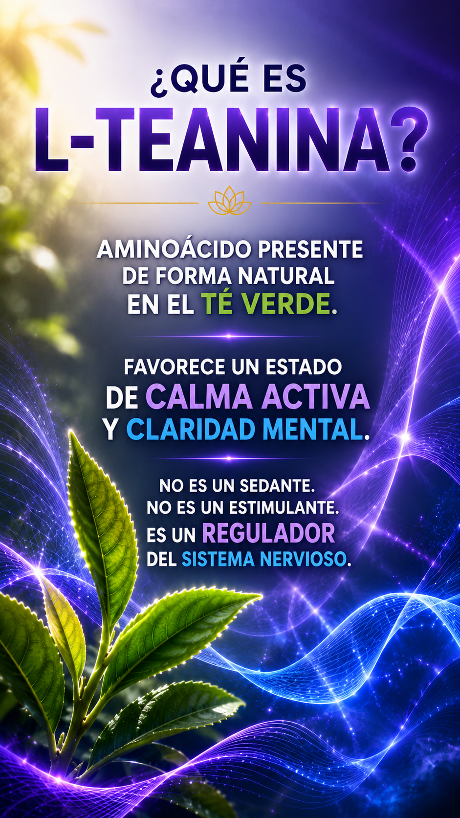 L-Teanina 300 mg – Calma Mental y enfoque natural sin somnolencia