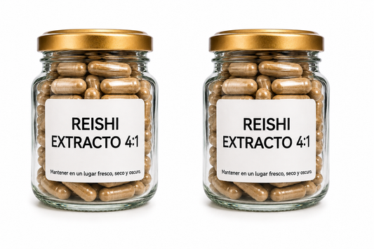 Hongo Reishi Extracto 4:1 - Cápsulas de 500 mg
