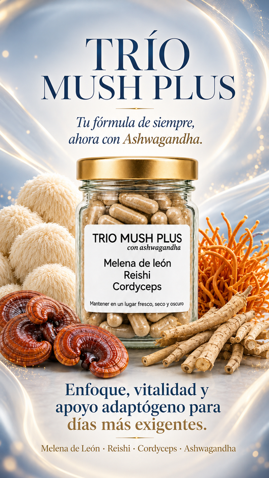 Trío Mush Plus - Melena de león, reishi, cordyceps y ashwagandha TODO EN 1