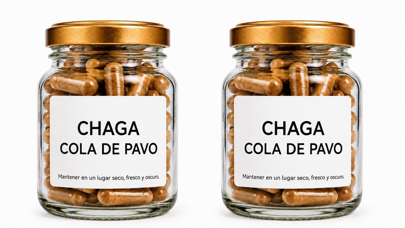 Duo Hongos Cola de Pavo y Chaga, extractos puros.