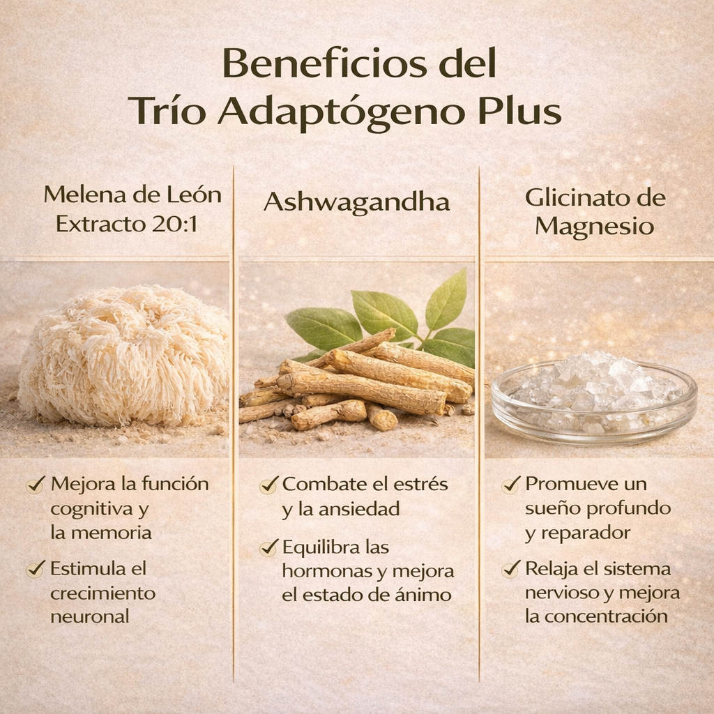 Melena de León, Ashwagandha y Glicinato de Magnesio - 30 Cápsulas
