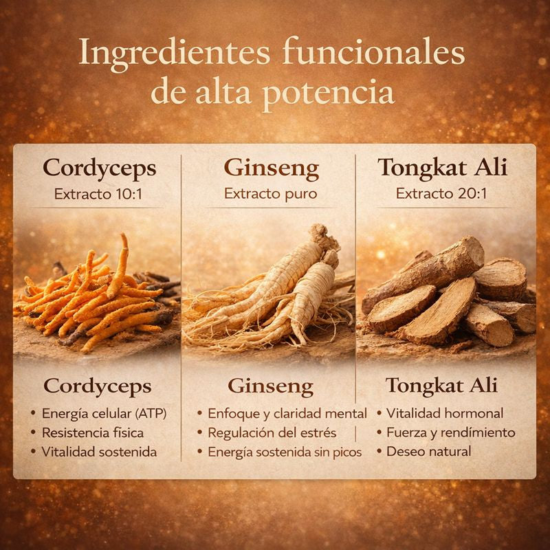Cordyceps + Ginseng + Tongkat Ali - 60 Cápsulas