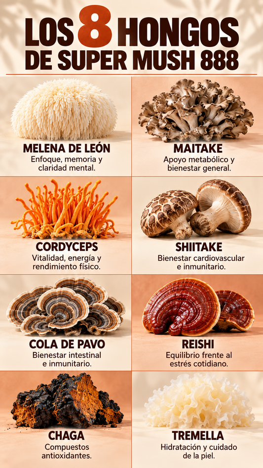 Super Mush 8 Hongos en una sóla cápsula + Cacao