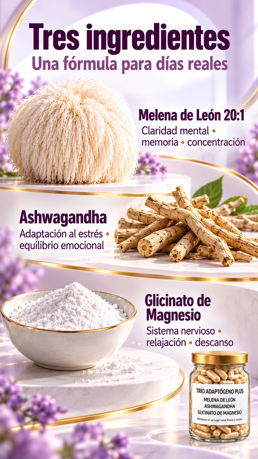 Melena de León, Ashwagandha y Glicinato de Magnesio - Trio Adaptógeno Plus