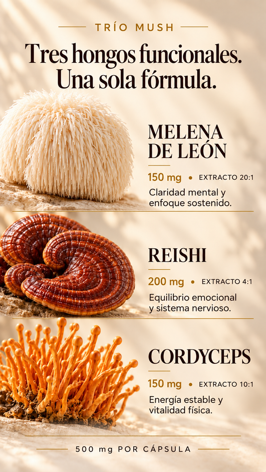 Trio Mush Melena de león, reishi y cordyceps - Extractos puros concentrados